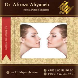 natural nose surgery